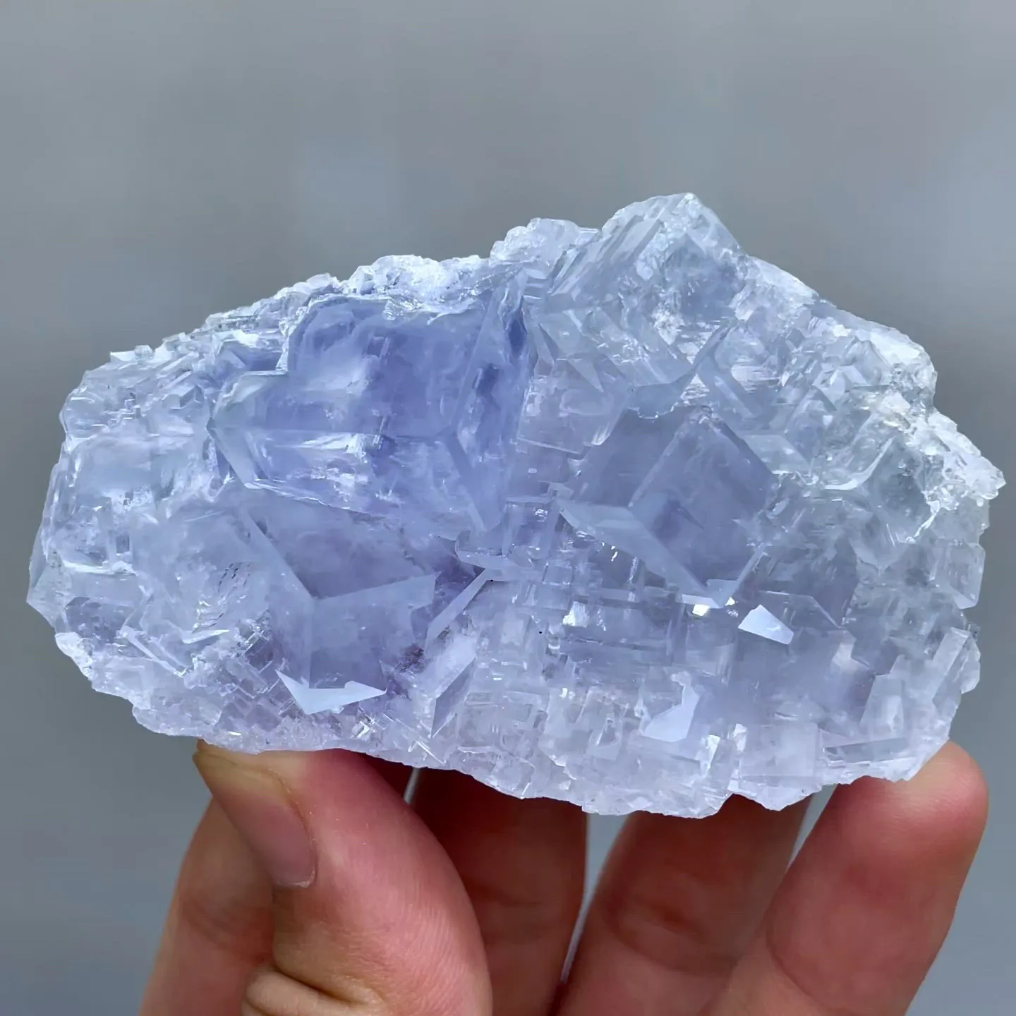 specimen video