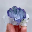 specimen video