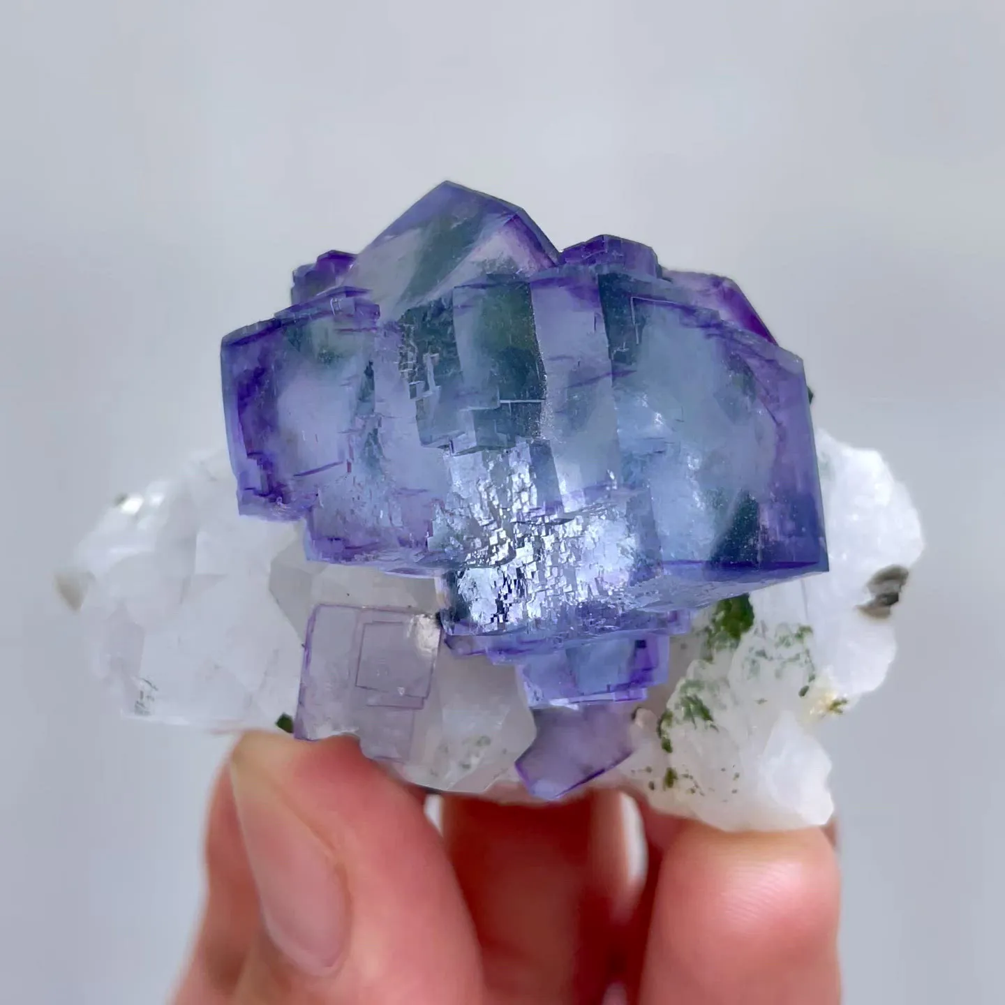 specimen video