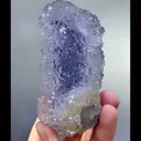 specimen video