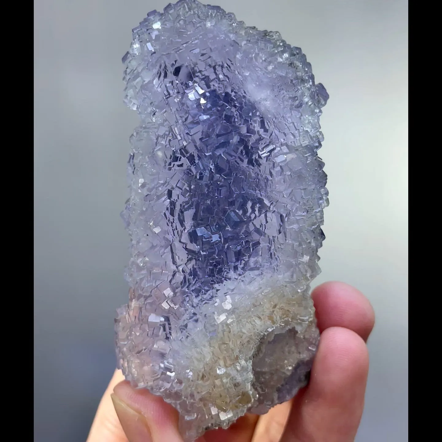 specimen video