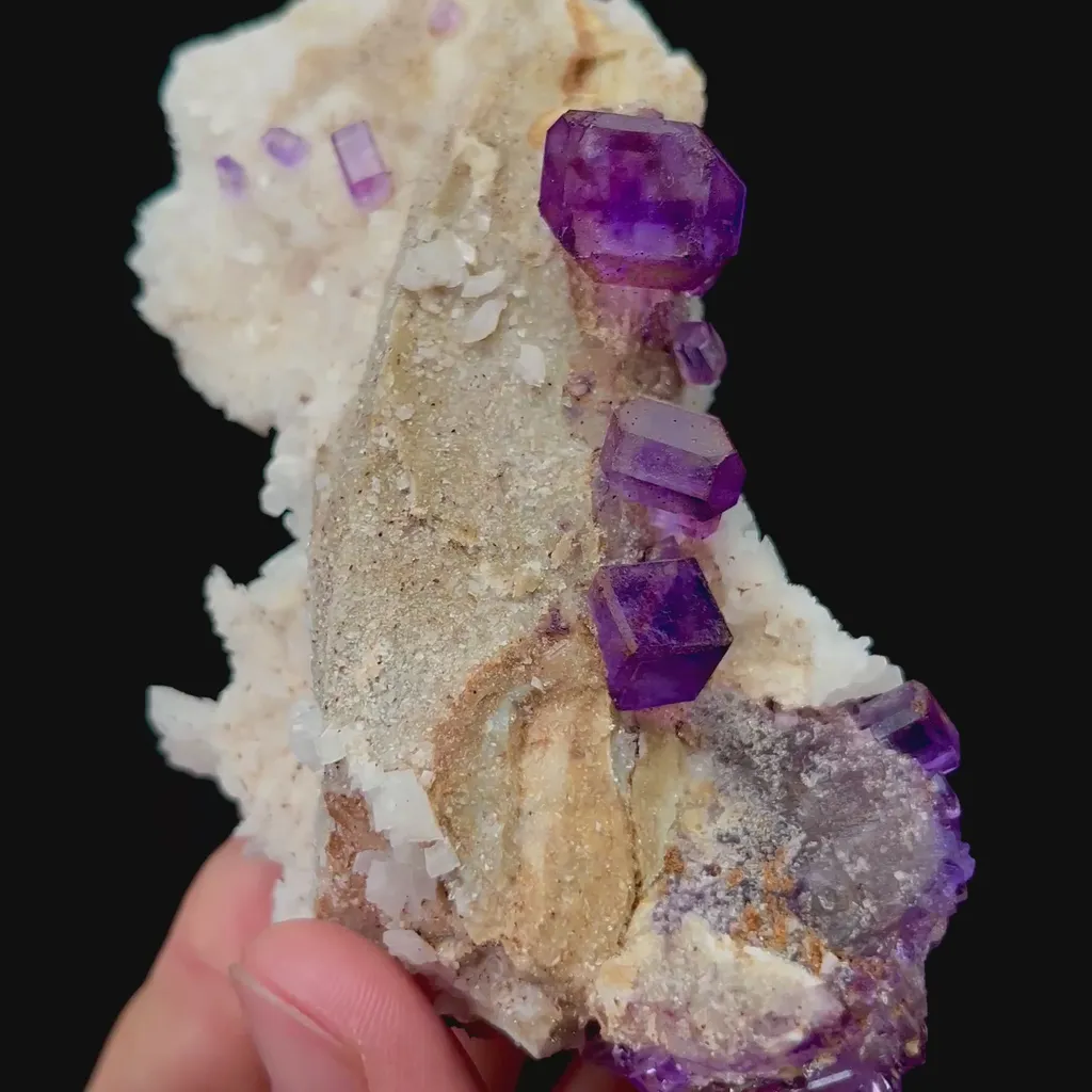 specimen video