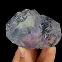 specimen video