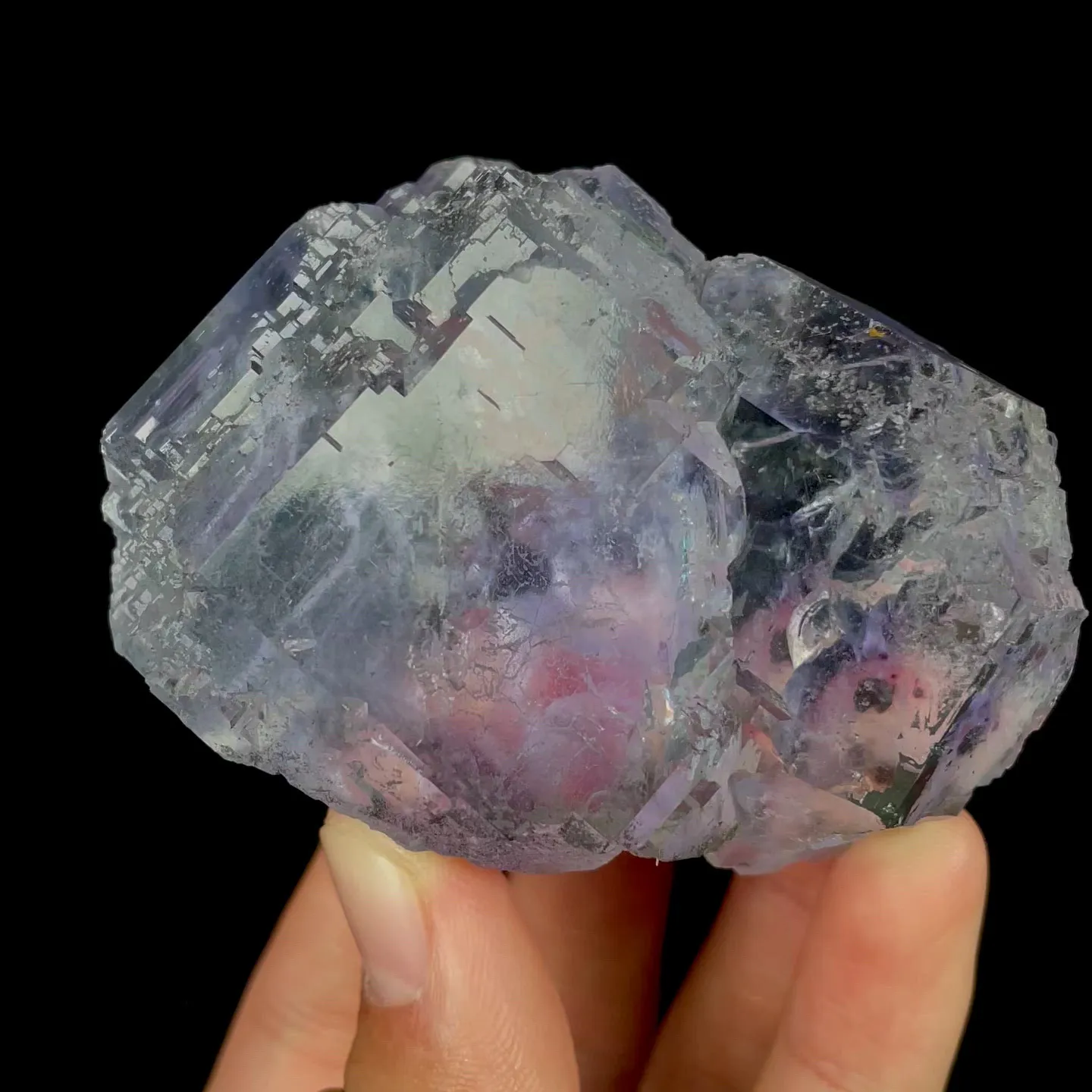 specimen video