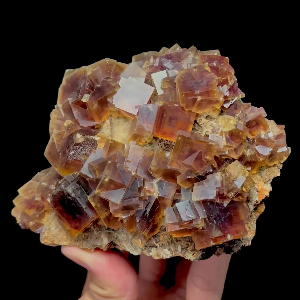 specimen video