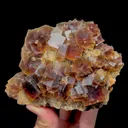 specimen video