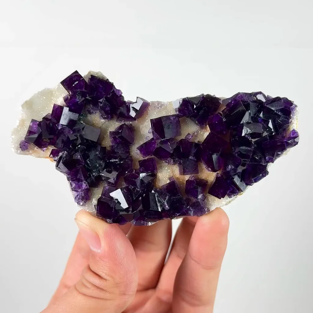 specimen video