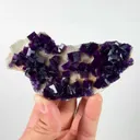 specimen video