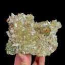 specimen video