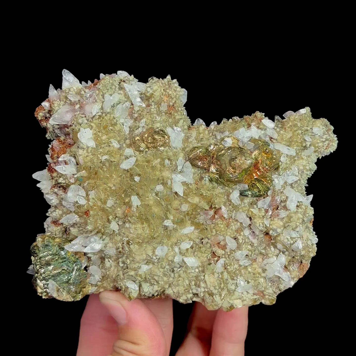 specimen video