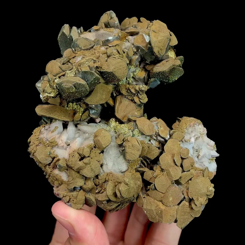 specimen video