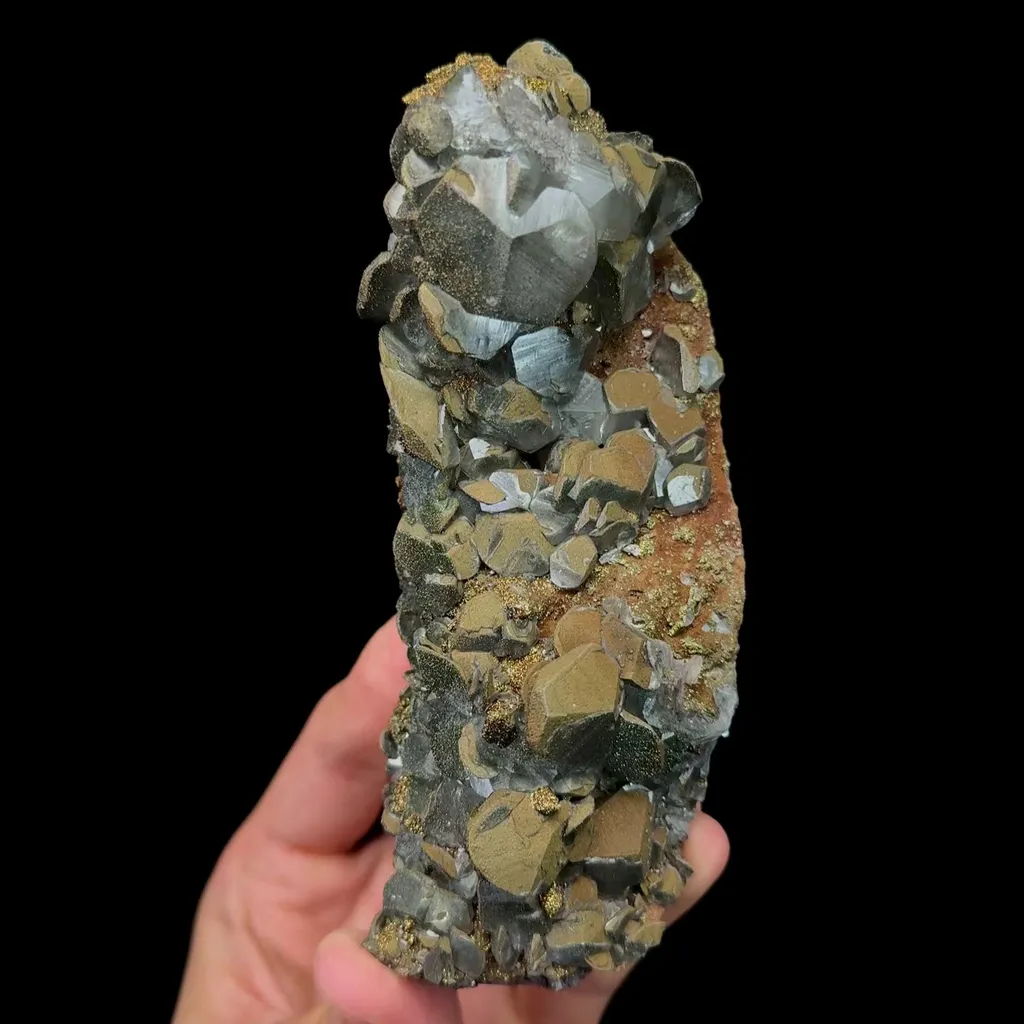 specimen video