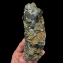 specimen video