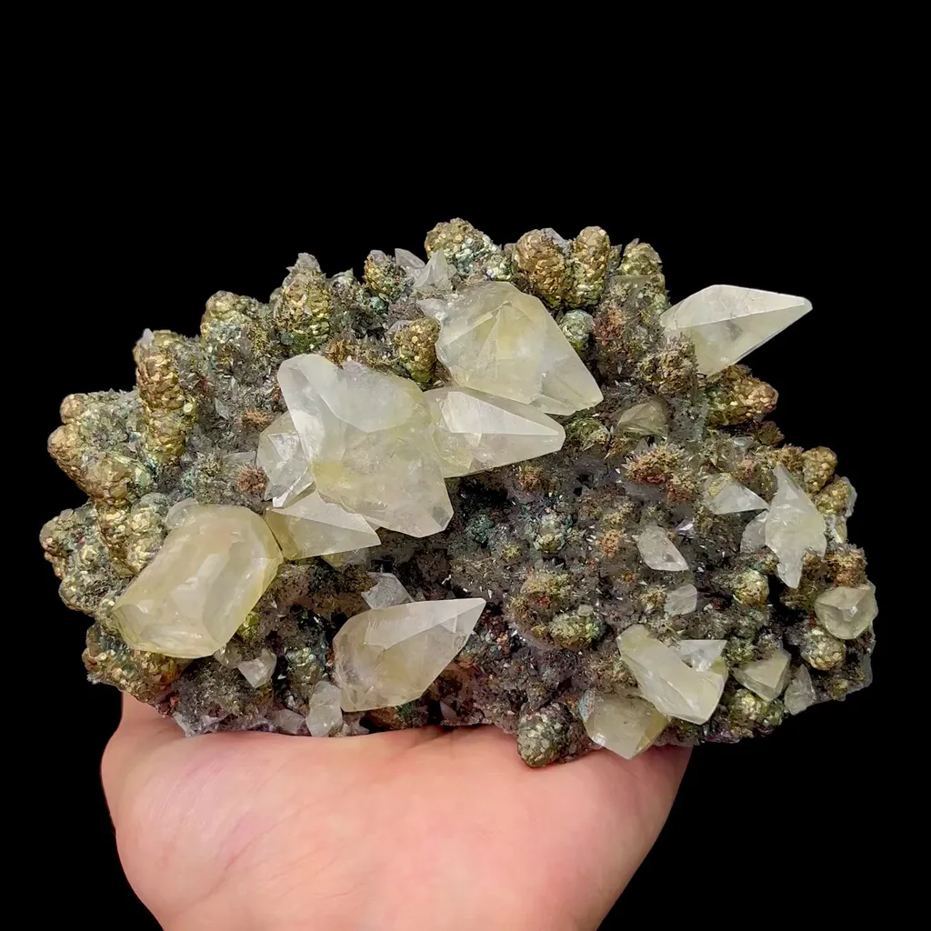 specimen video