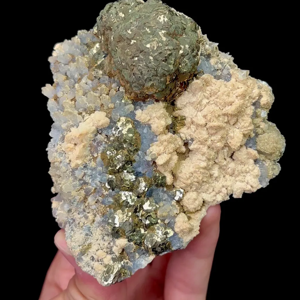 specimen video