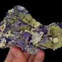 Natural Pyrite and Purple Fluorite Mineral Specimen,High Quality Specimen,INNER MONGOLIA,CHINA(120*75*42mm) - image 4