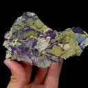 Natural Pyrite and Purple Fluorite Mineral Specimen,High Quality Specimen,INNER MONGOLIA,CHINA(120*75*42mm) - image 2