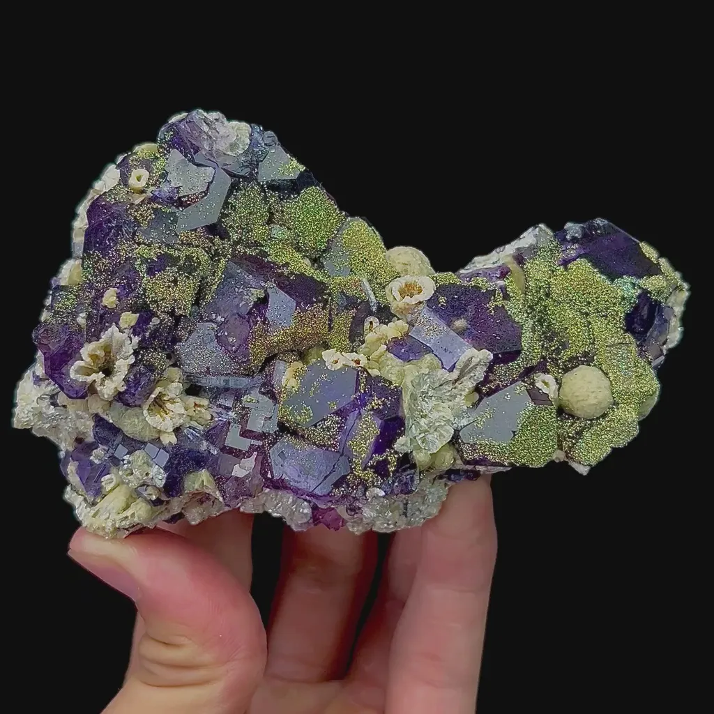 specimen video