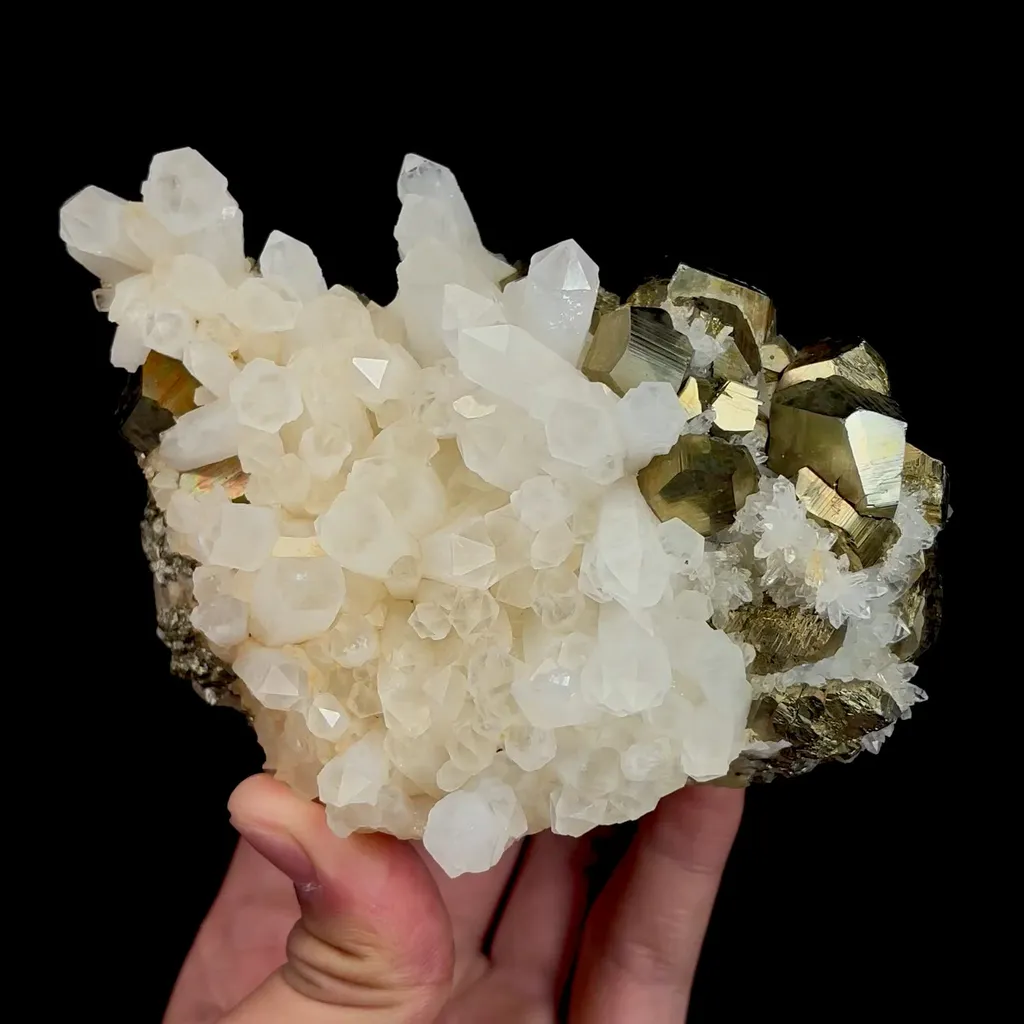 specimen video
