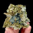 specimen video