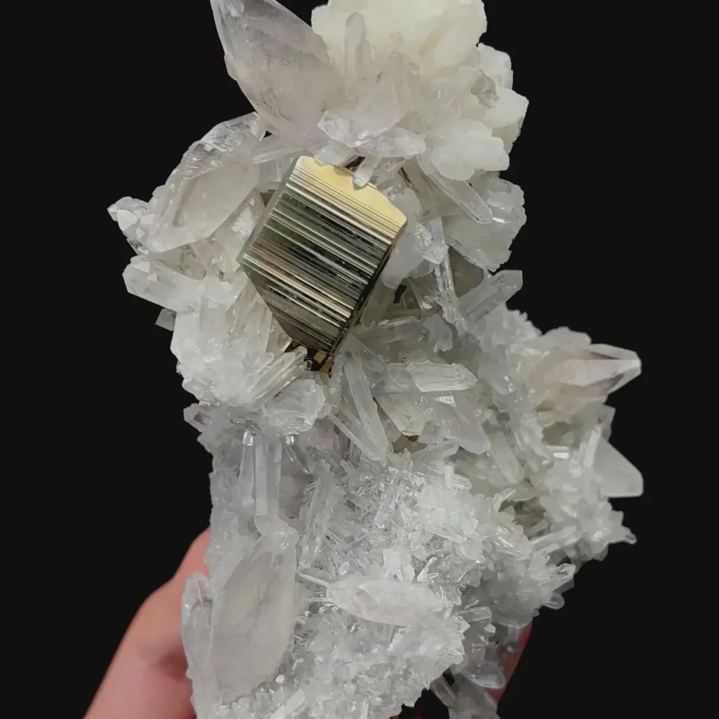 specimen video