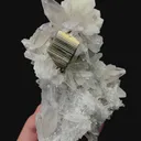 specimen video