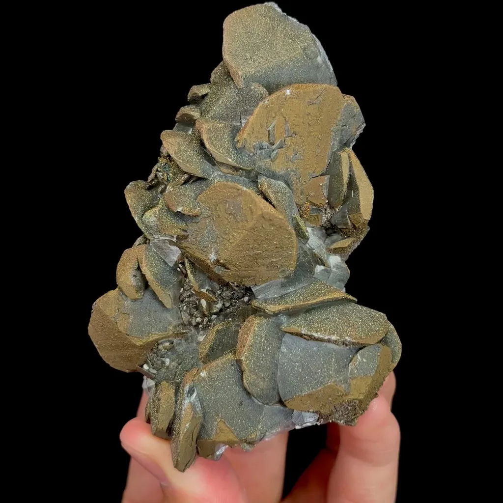 specimen video