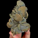 specimen video
