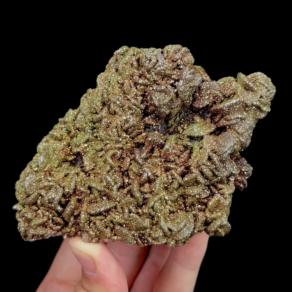 specimen video