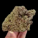 specimen video