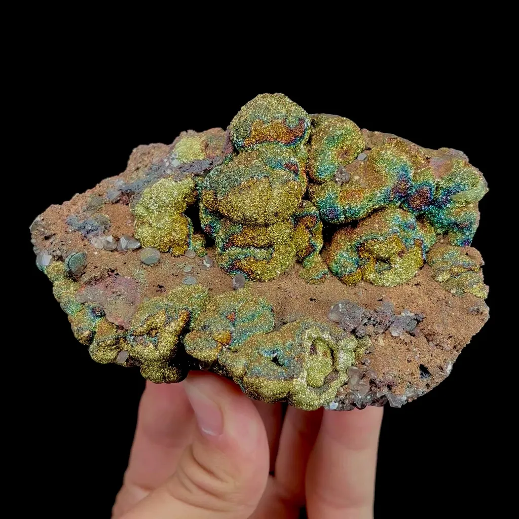 specimen video