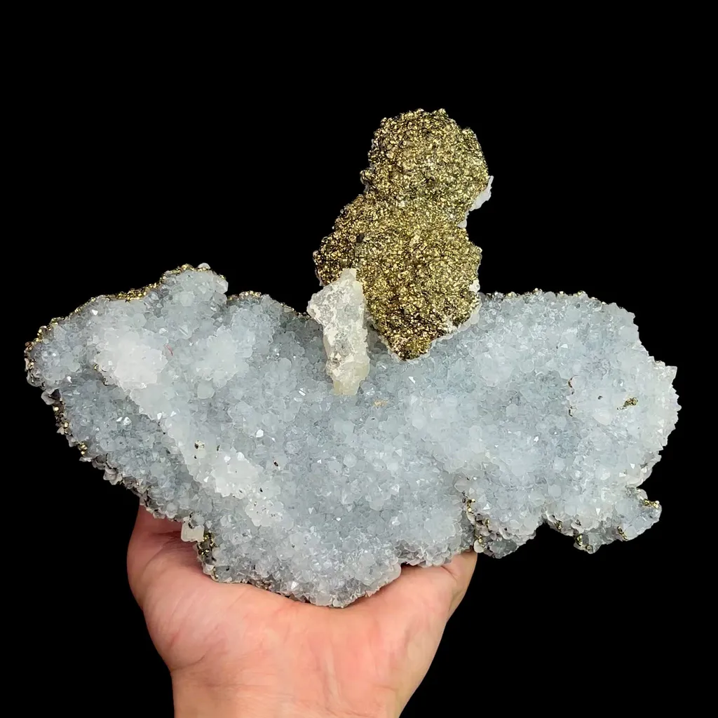 specimen video