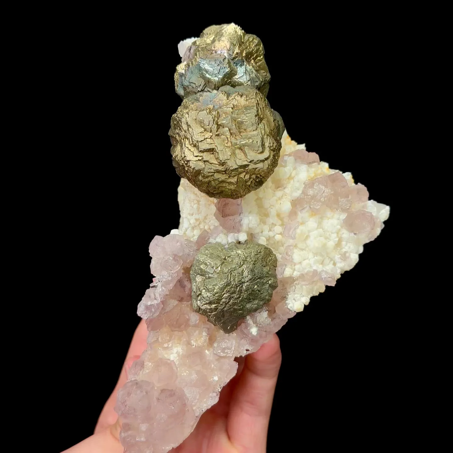 specimen video