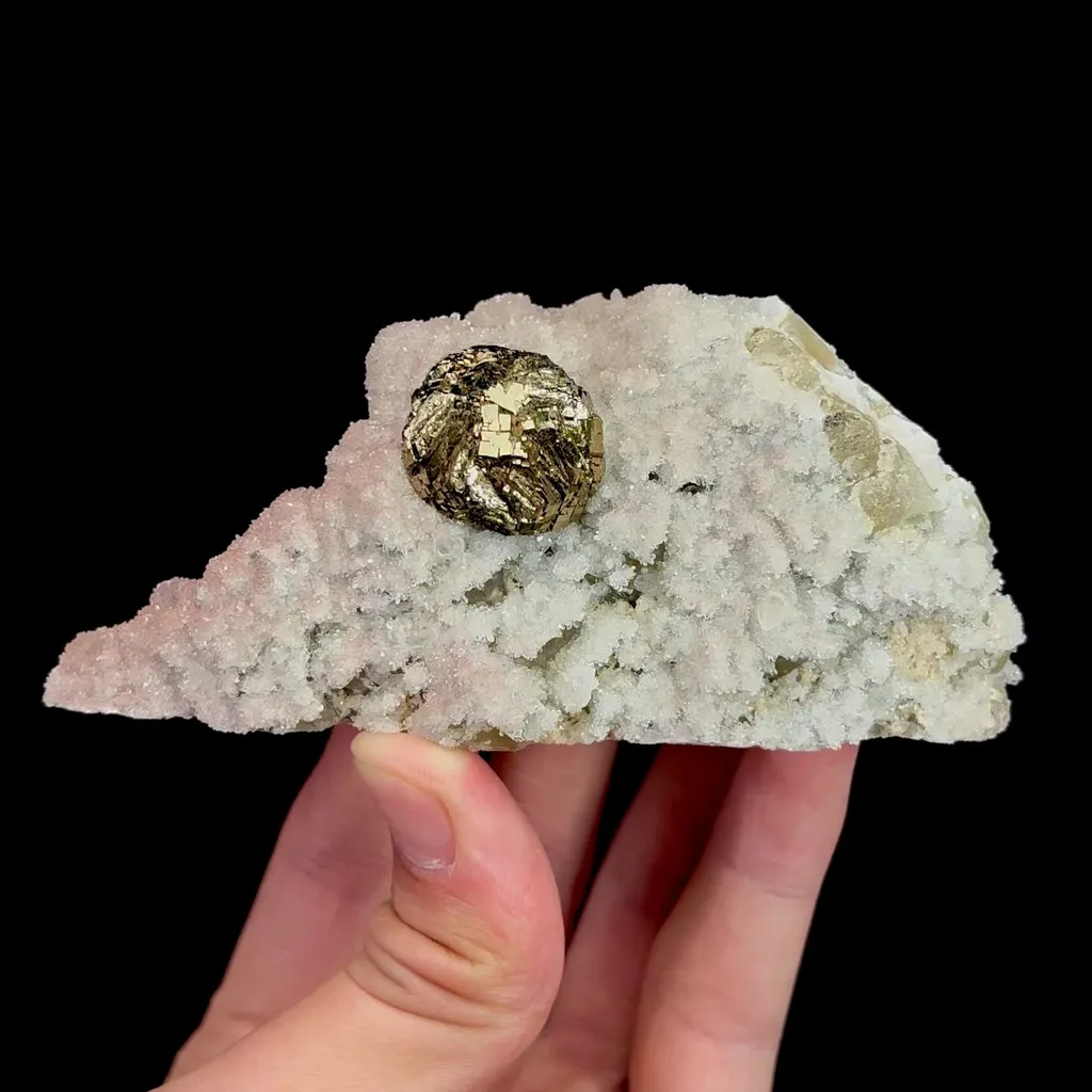 specimen video