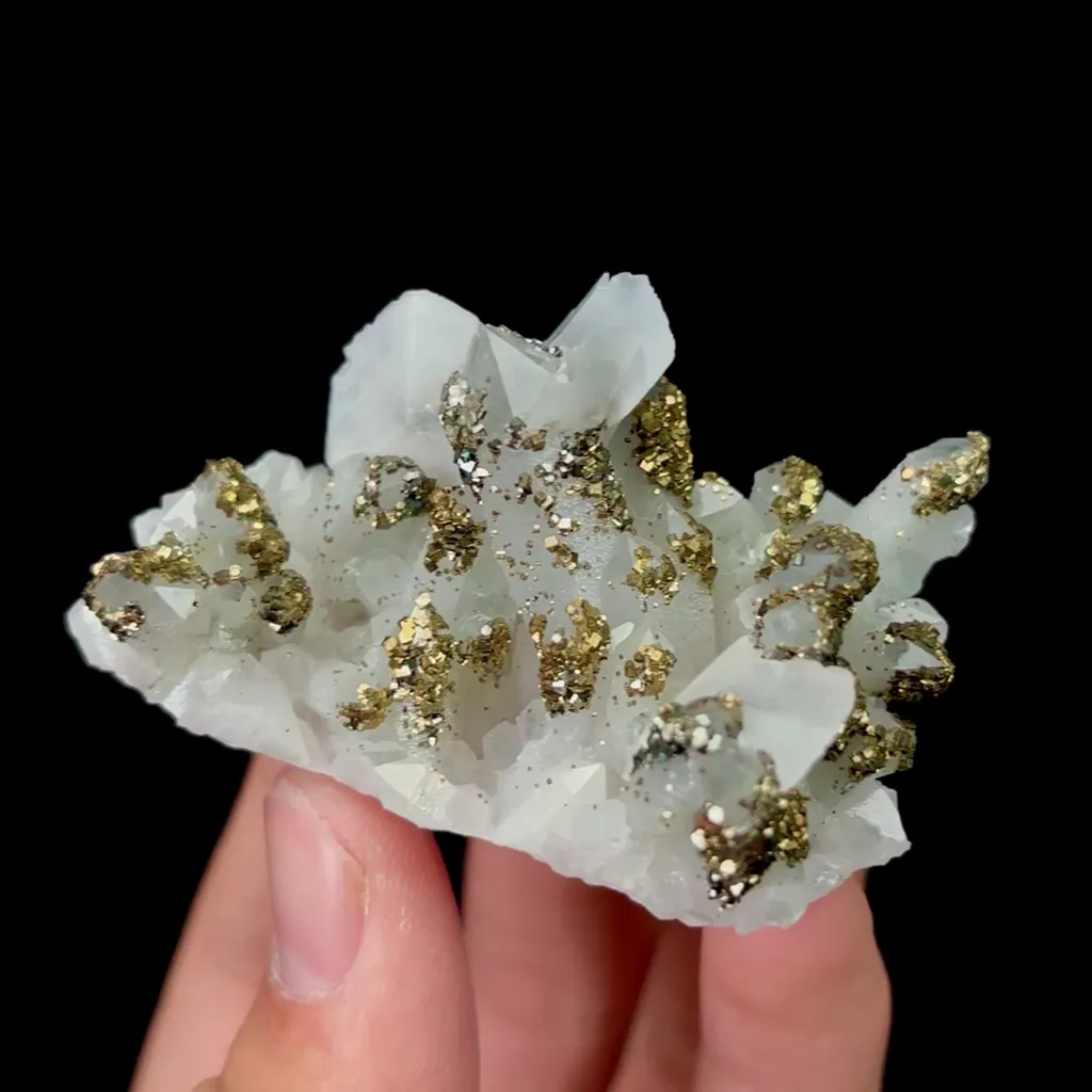 specimen video