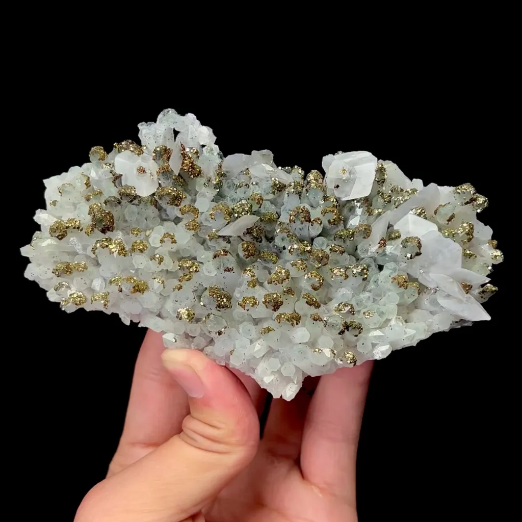 specimen video