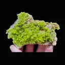 Natural Pyromorphite comes from Guangxi,China 90*65*15MM - image 5