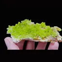 Natural Pyromorphite comes from Guangxi,China 90*65*15MM - image 2