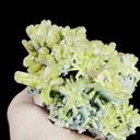 Natural Pyromorphite Mineral Specimen,High Quality Specimen,GUANGXI,CHINA(128*106*47mm) - image 2