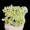 Natural Pyromorphite Mineral Specimen,High Quality Specimen,GUANGXI,CHINA(128*106*47mm) - image 3