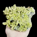 Natural Pyromorphite Mineral Specimen,High Quality Specimen,GUANGXI,CHINA(128*106*47mm) - image 1