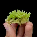 Natural Pyromorphite Mineral Specimen,High Quality Specimen,GUILIN,GUANGXI,CHINA(48*29*28mm) - image 4