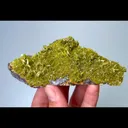 specimen video