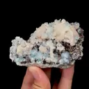 specimen video