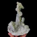 specimen video