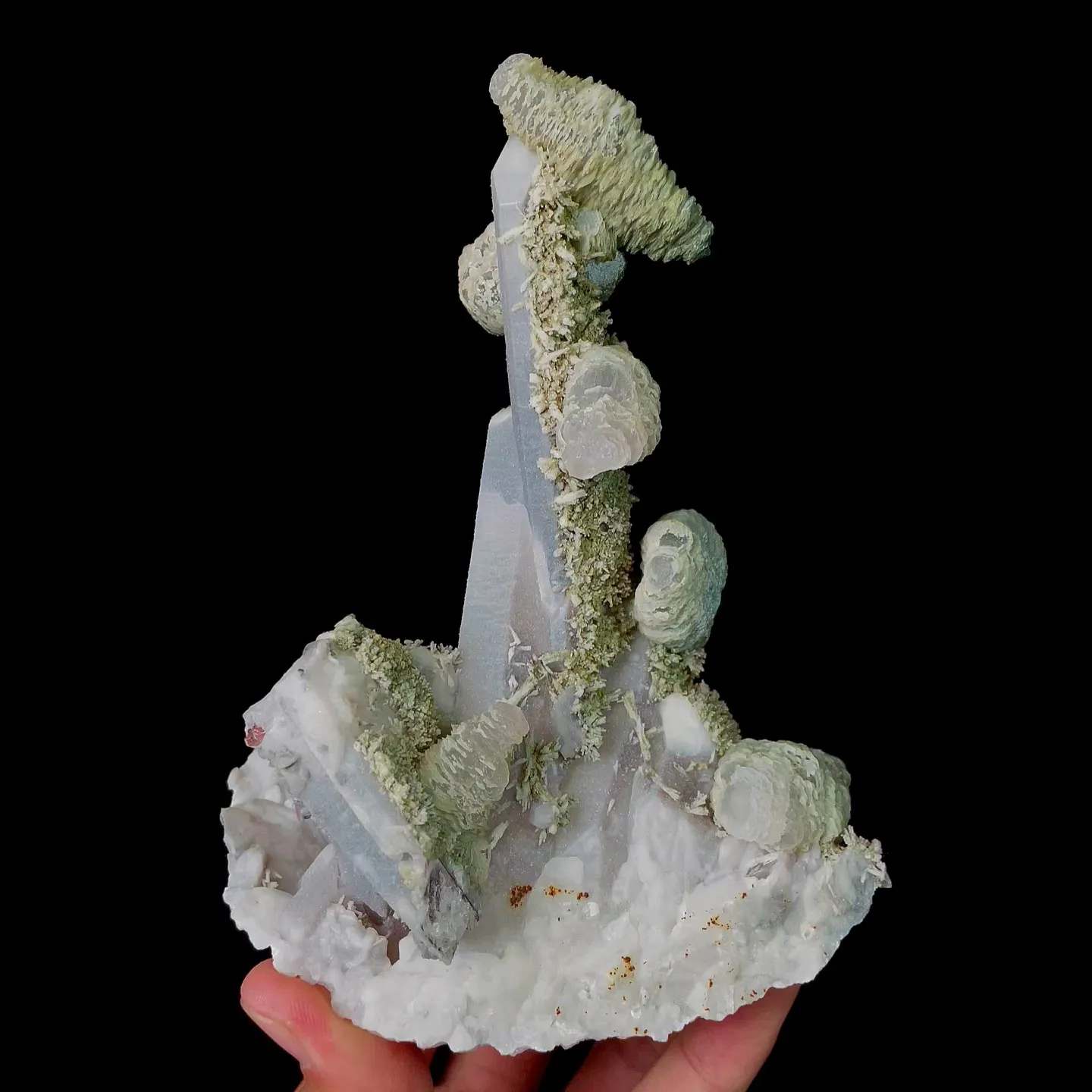specimen video