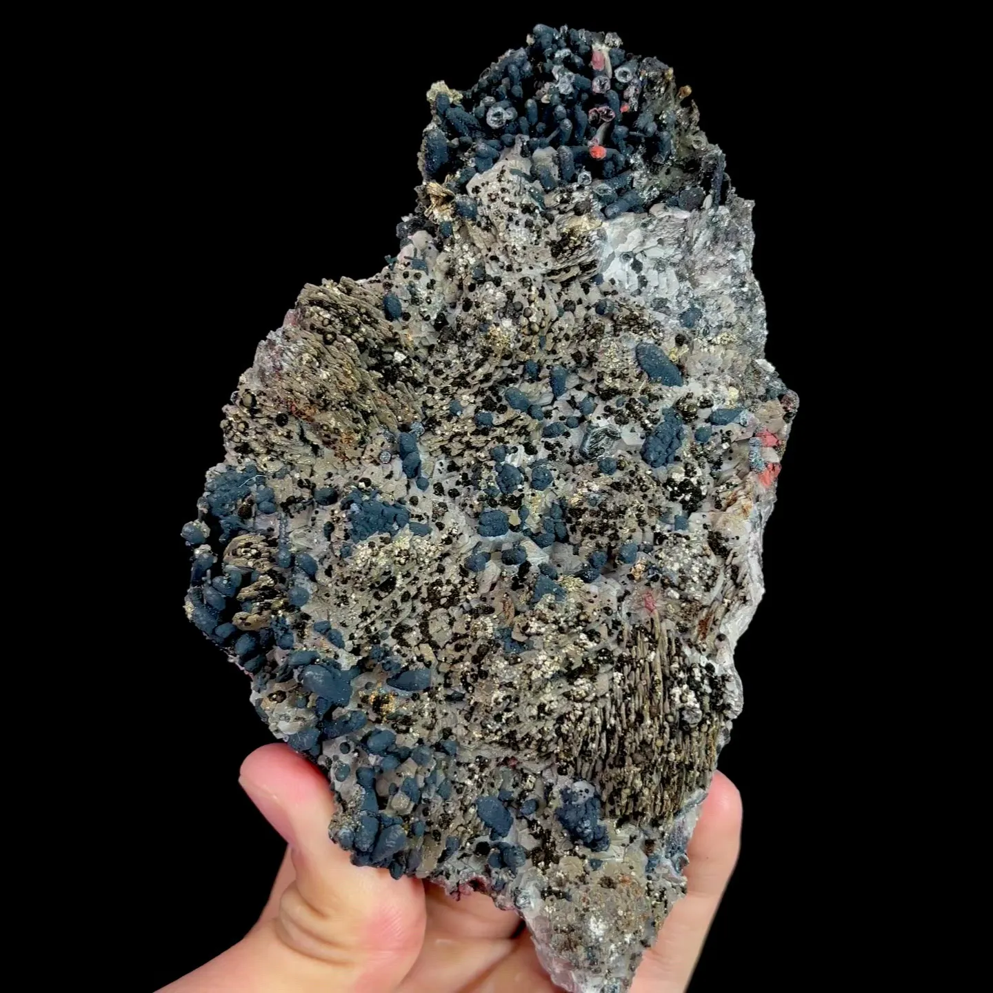 specimen video