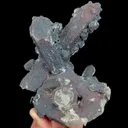 specimen video