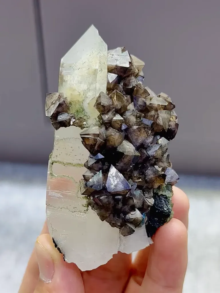 Natural Quartz and Scheelite coexist comes from Yaogangxian,Hunan 40*30*80MM image