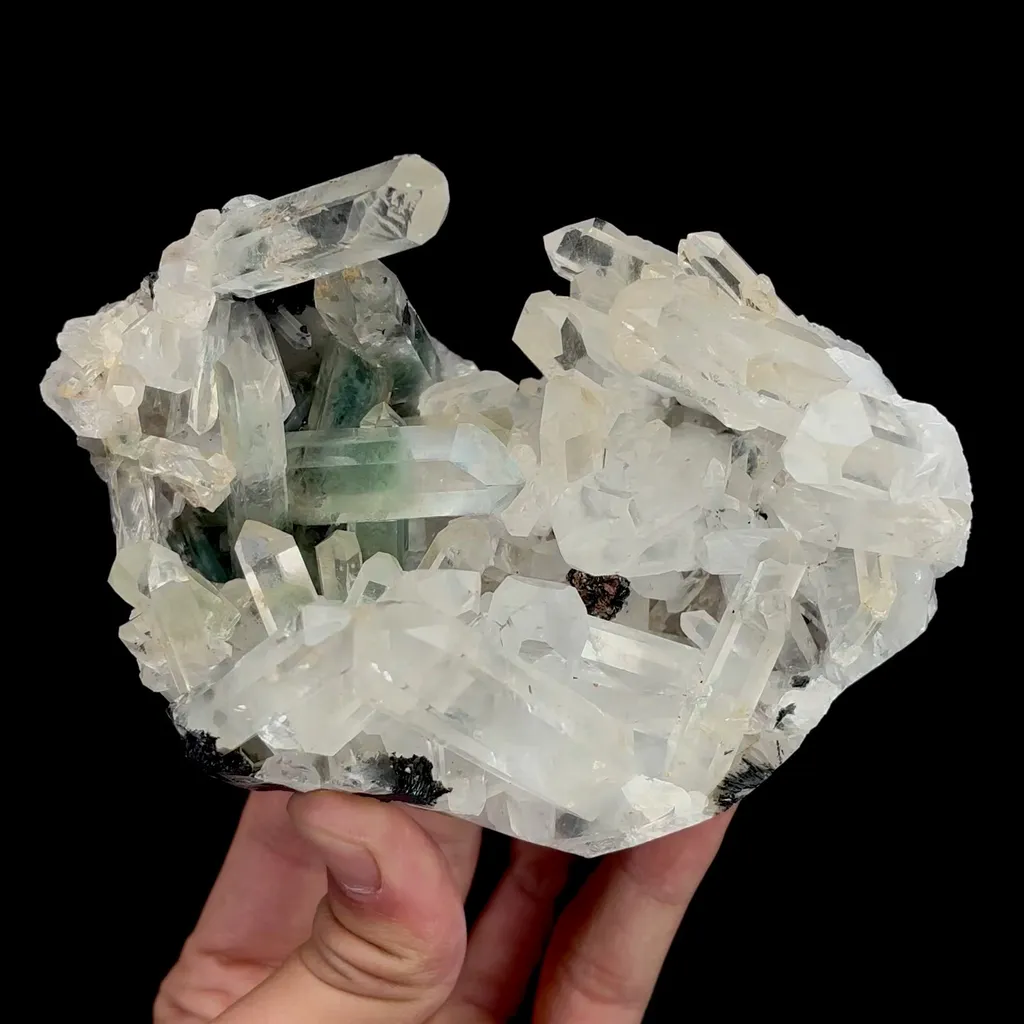 specimen video